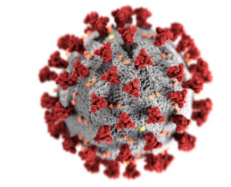 Coronavirus Image