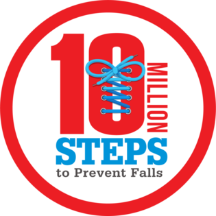 State of Ohio 10 Million Steps to Prevent Falls