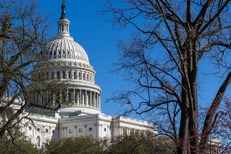 US Capitol, Washington DC