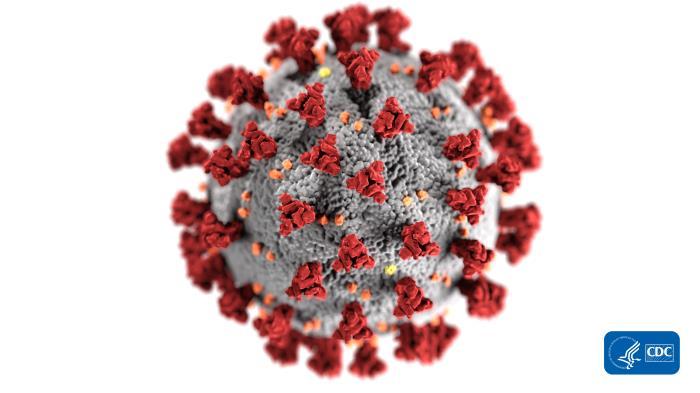 Coronavirus CDC Coronavirus CDC
